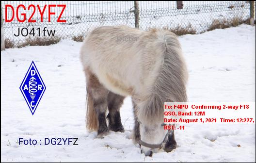 QSL de DG2YFZ